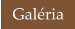 Galéria